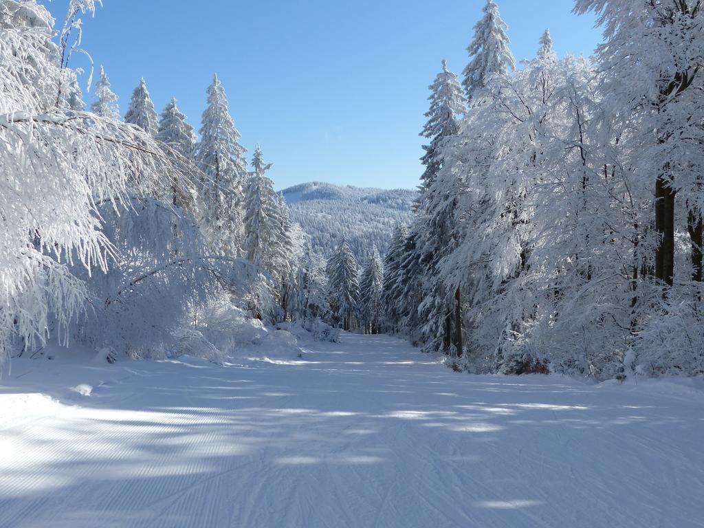 Pension Reindlhoeh Лоберг Екстер'єр фото