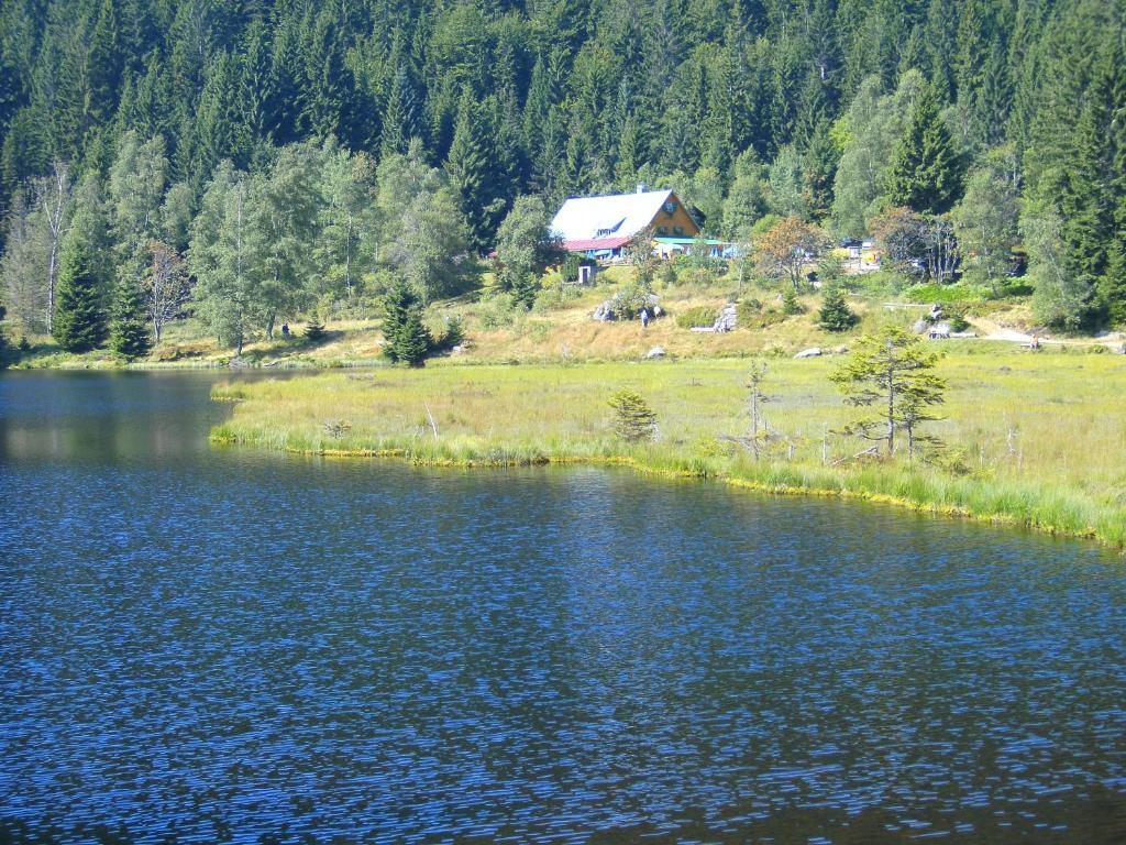 Pension Reindlhoeh Лоберг Екстер'єр фото